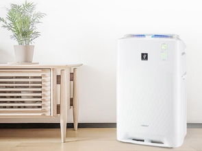 霧霾的傷害比你想的更嚴重 你還不買個空氣凈化器嗎